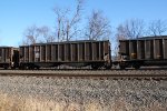 NS 10202